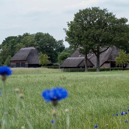 Gastenverblijf Lheederhof Dwingeloo Bagian luar foto