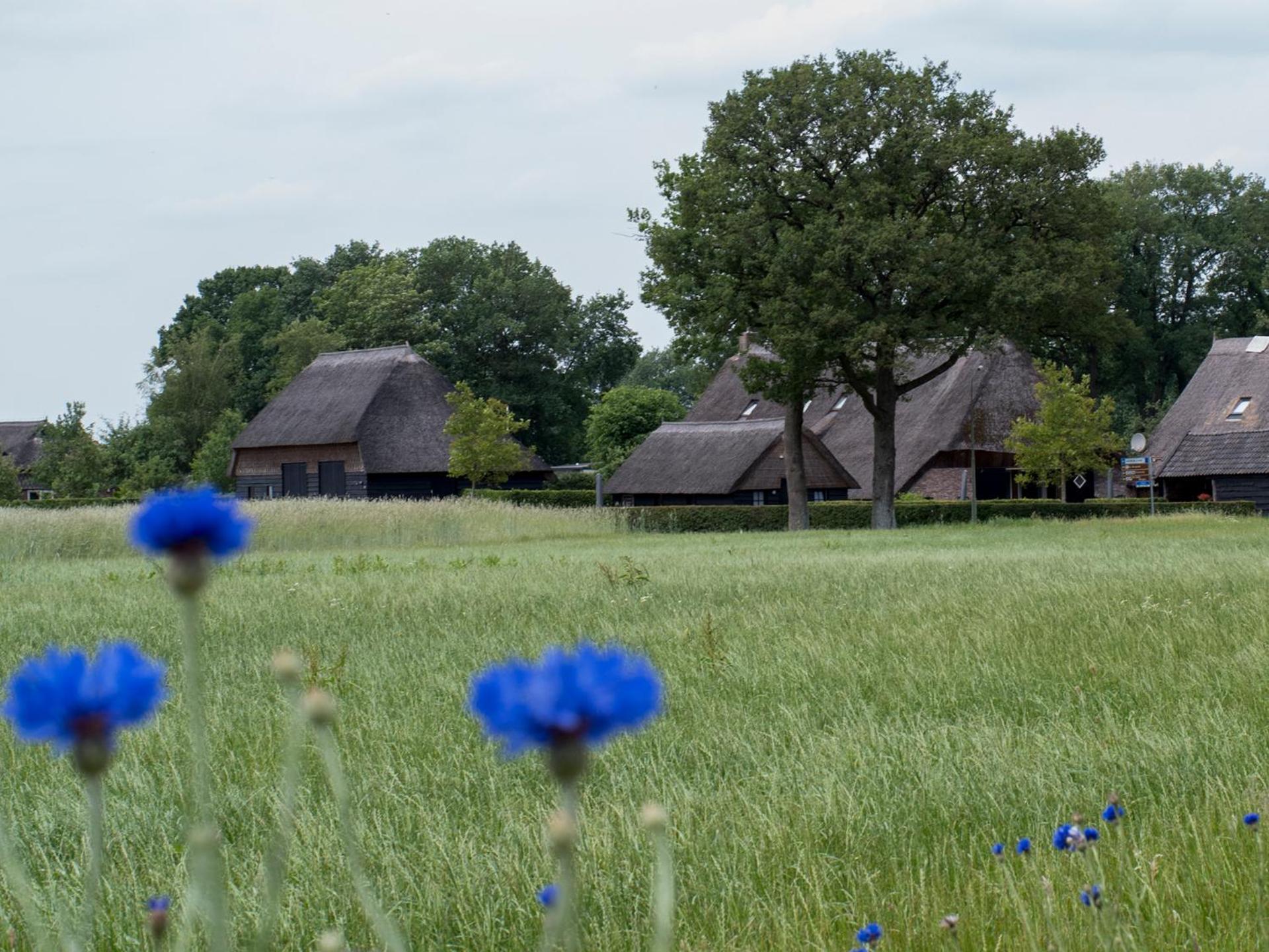 Gastenverblijf Lheederhof Dwingeloo Bagian luar foto
